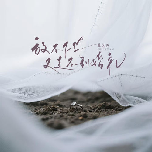 放不下你又走不到婚礼