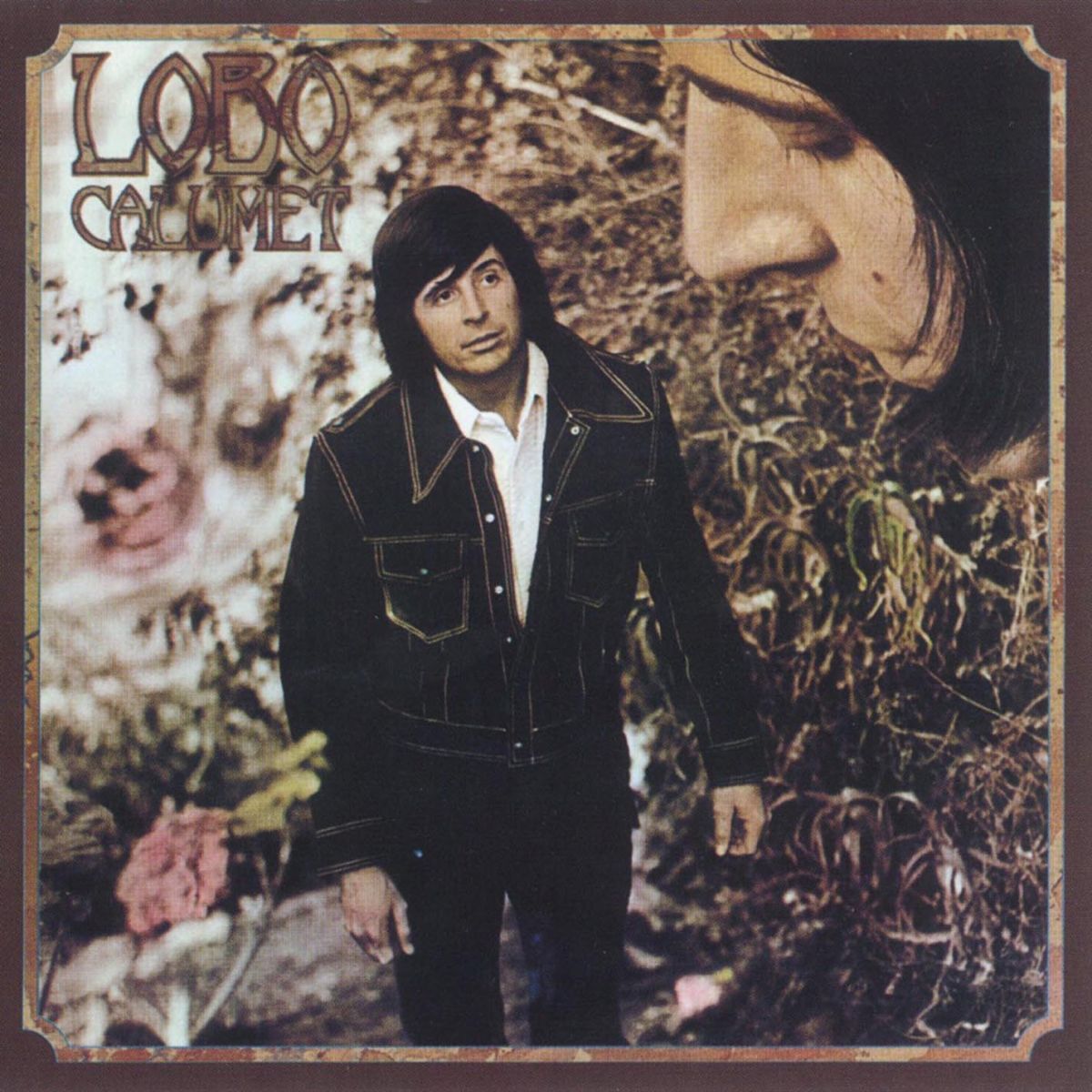 Album cover of Stoney