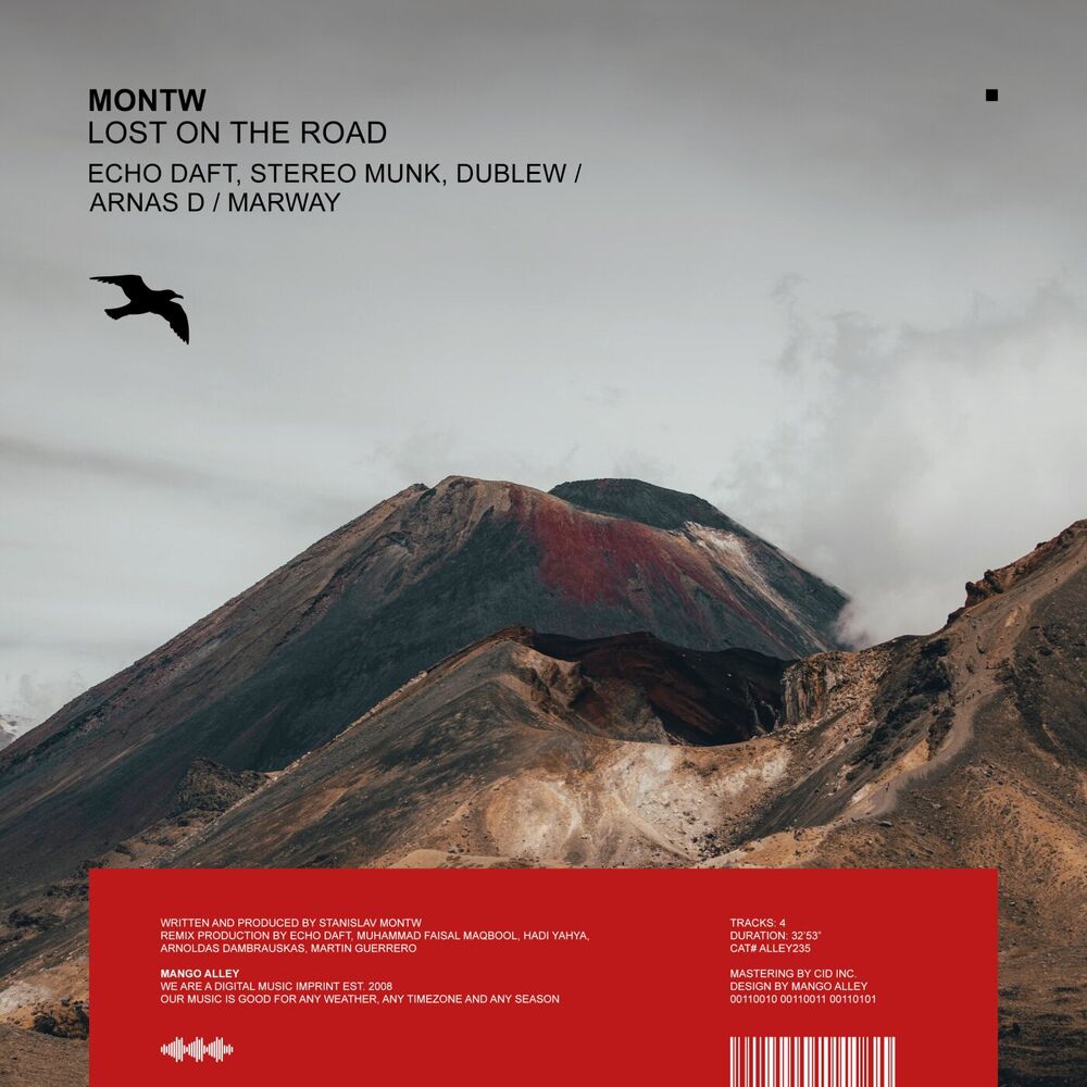 Picture of Lost on the Road