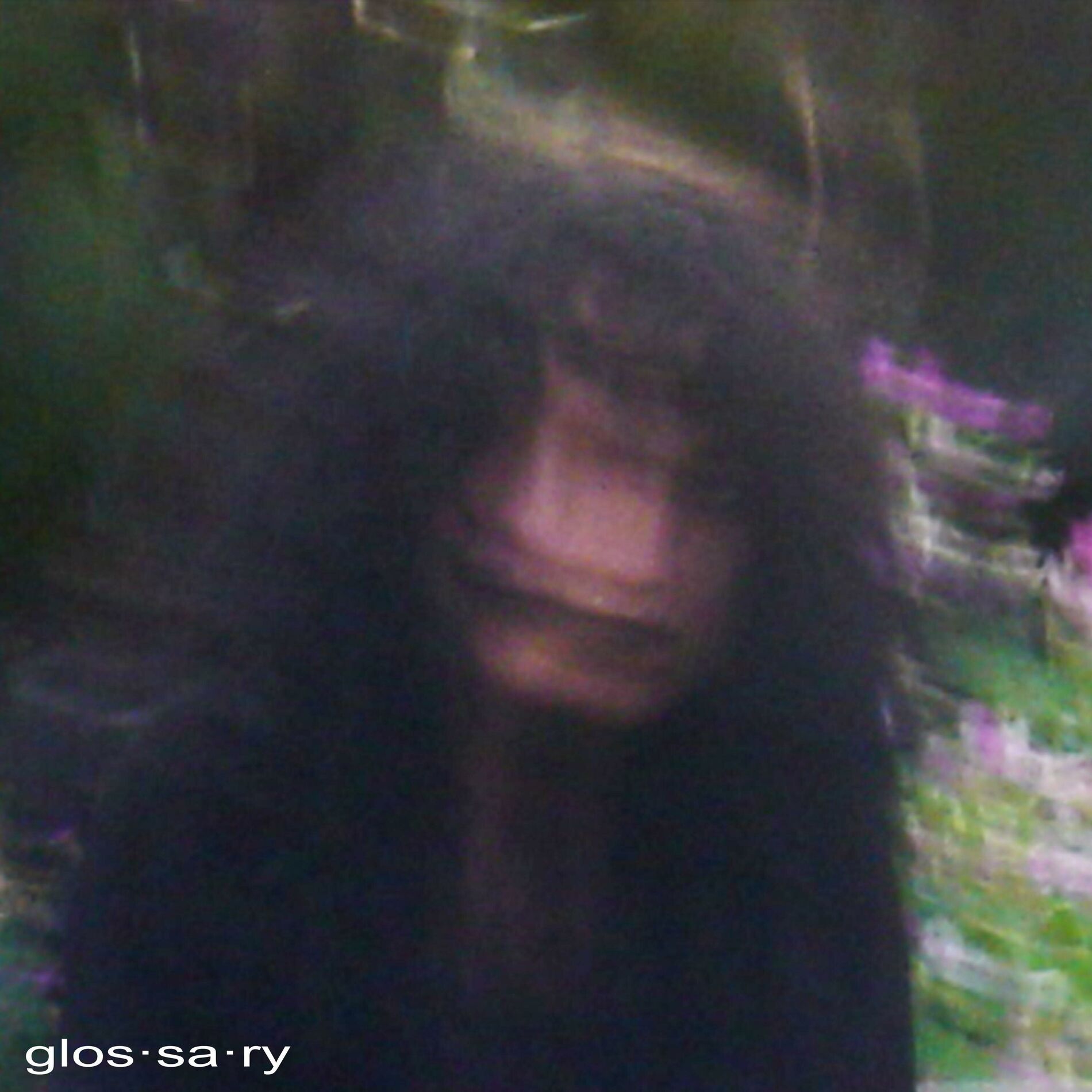 Album cover of glossary