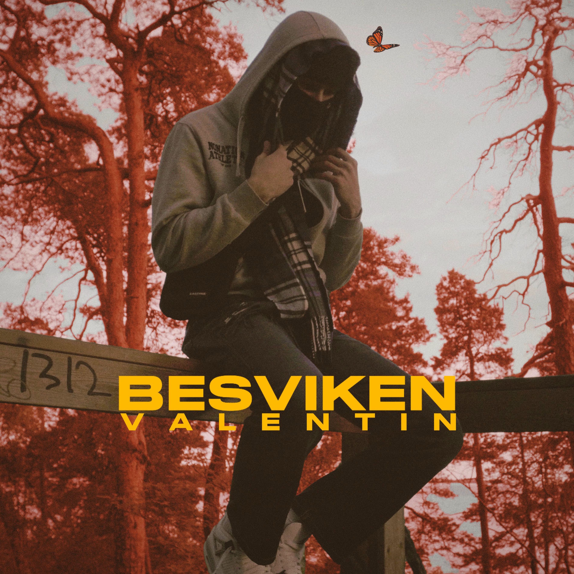 Album cover of BESVIKEN