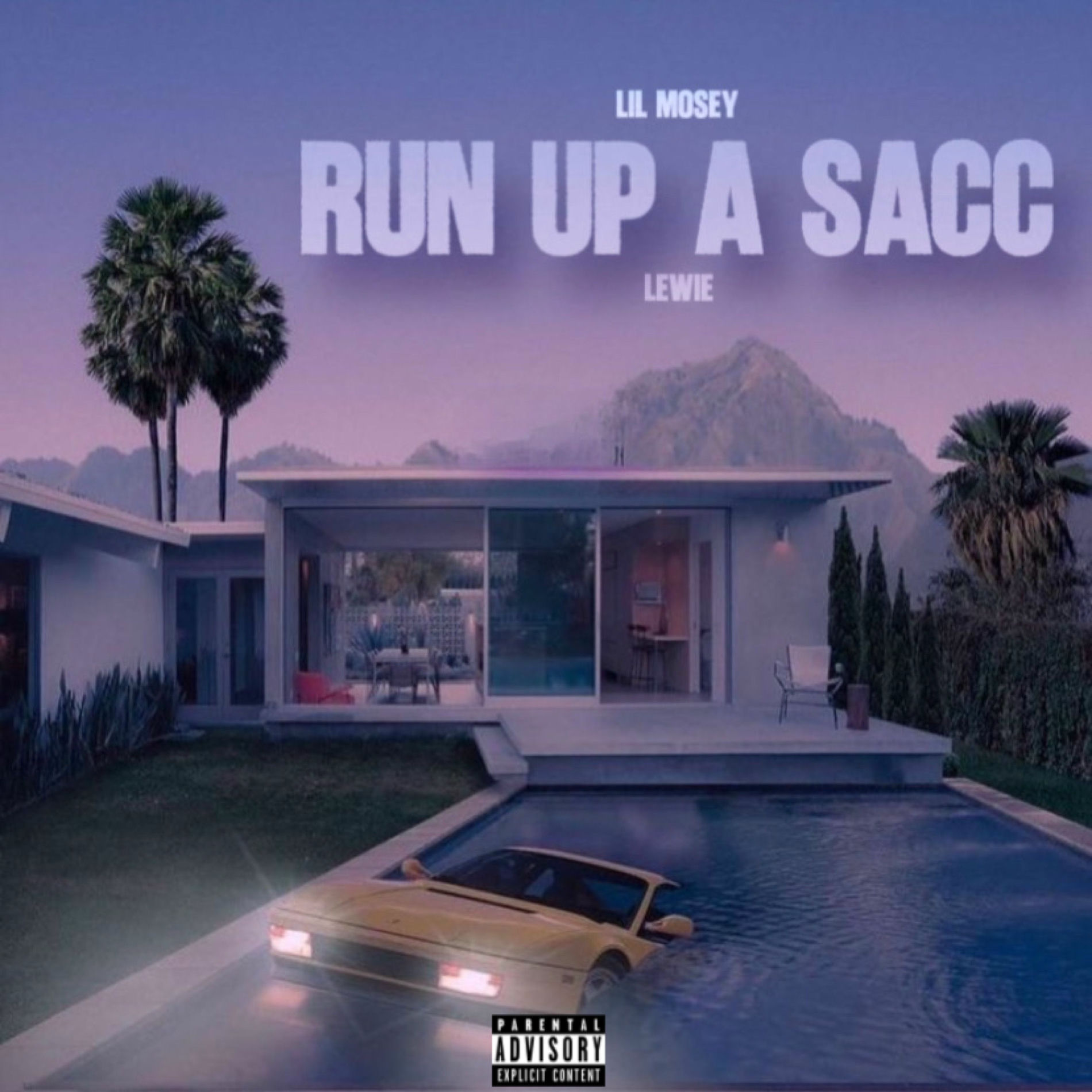 Album cover of Run up a Sacc