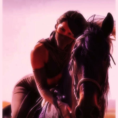 Saddle Up Lets Ride