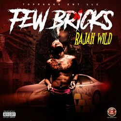 Cover of Few Bricks