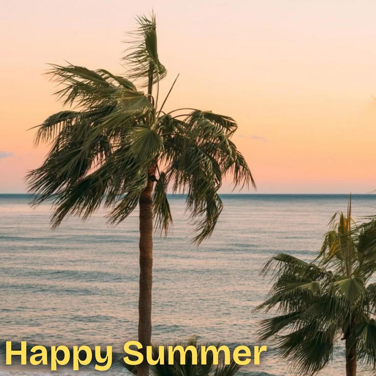 Album cover of Happy Summer