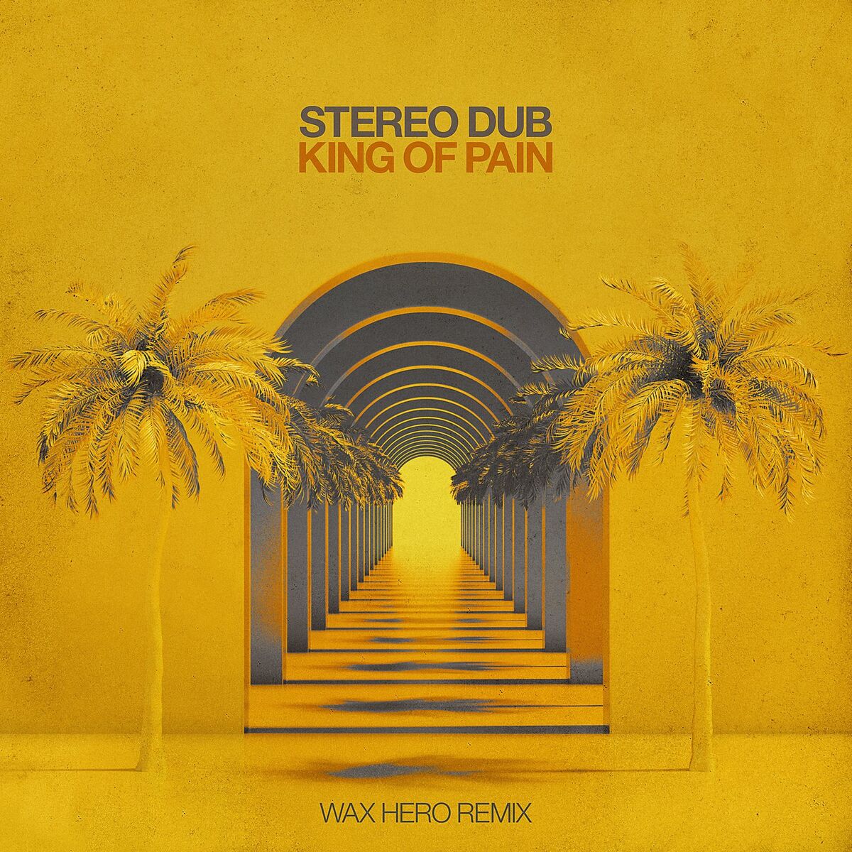 Album cover of King of Pain