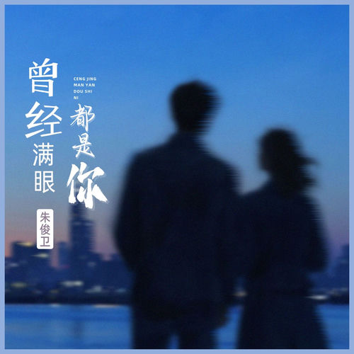 曾经满眼都是你