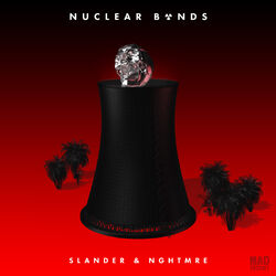 Cover of Nuclear Bonds