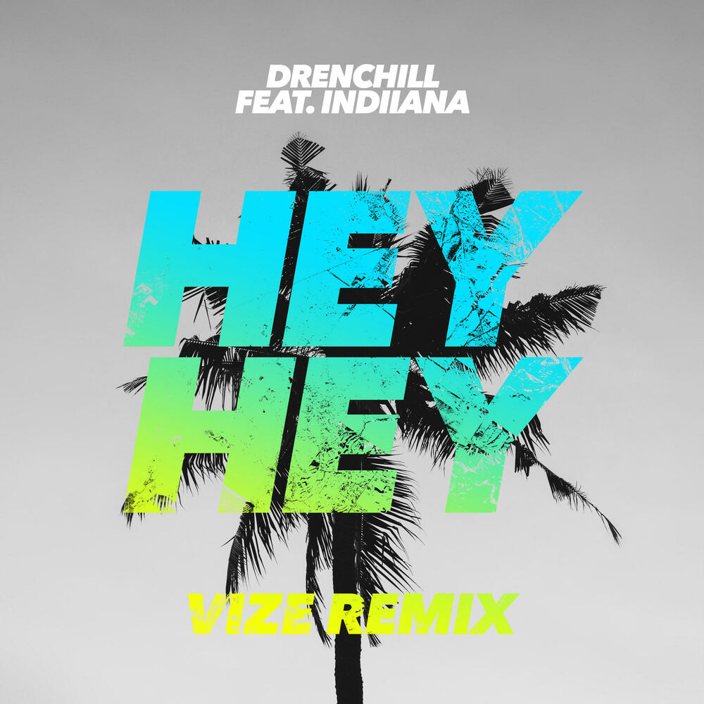 Picture of Hey Hey (VIZE Remix) (feat. Indiiana)