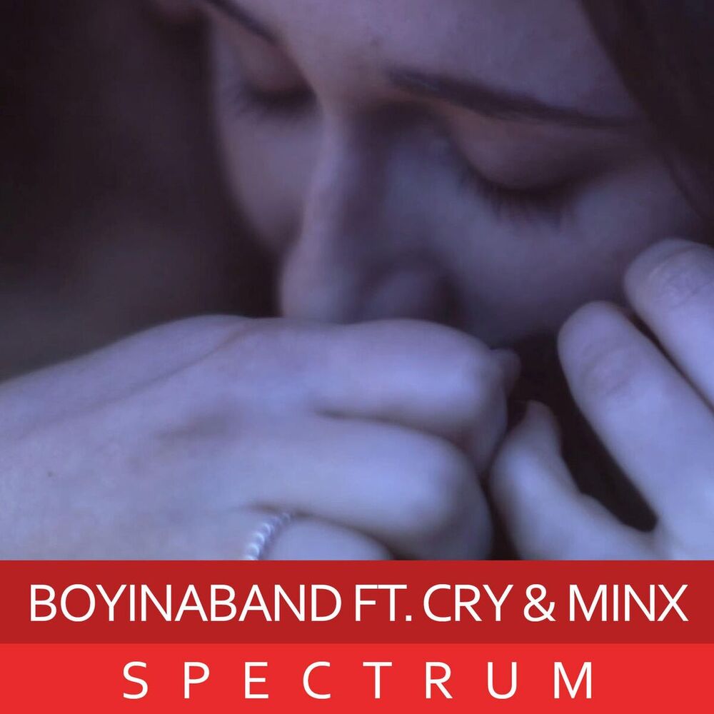 Picture of Spectrum Ft. Cry & Minx