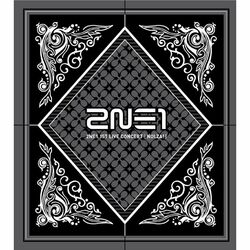 Cover of 2NE1 1st LIVE CONCERT [NOLZA!]