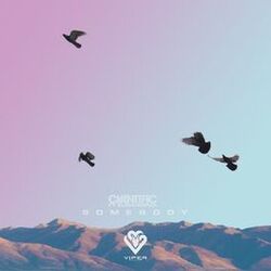 Cover of Somebody