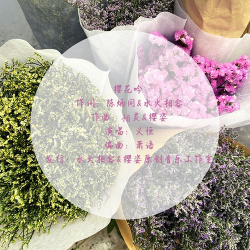 樱花吟 (男广场舞)