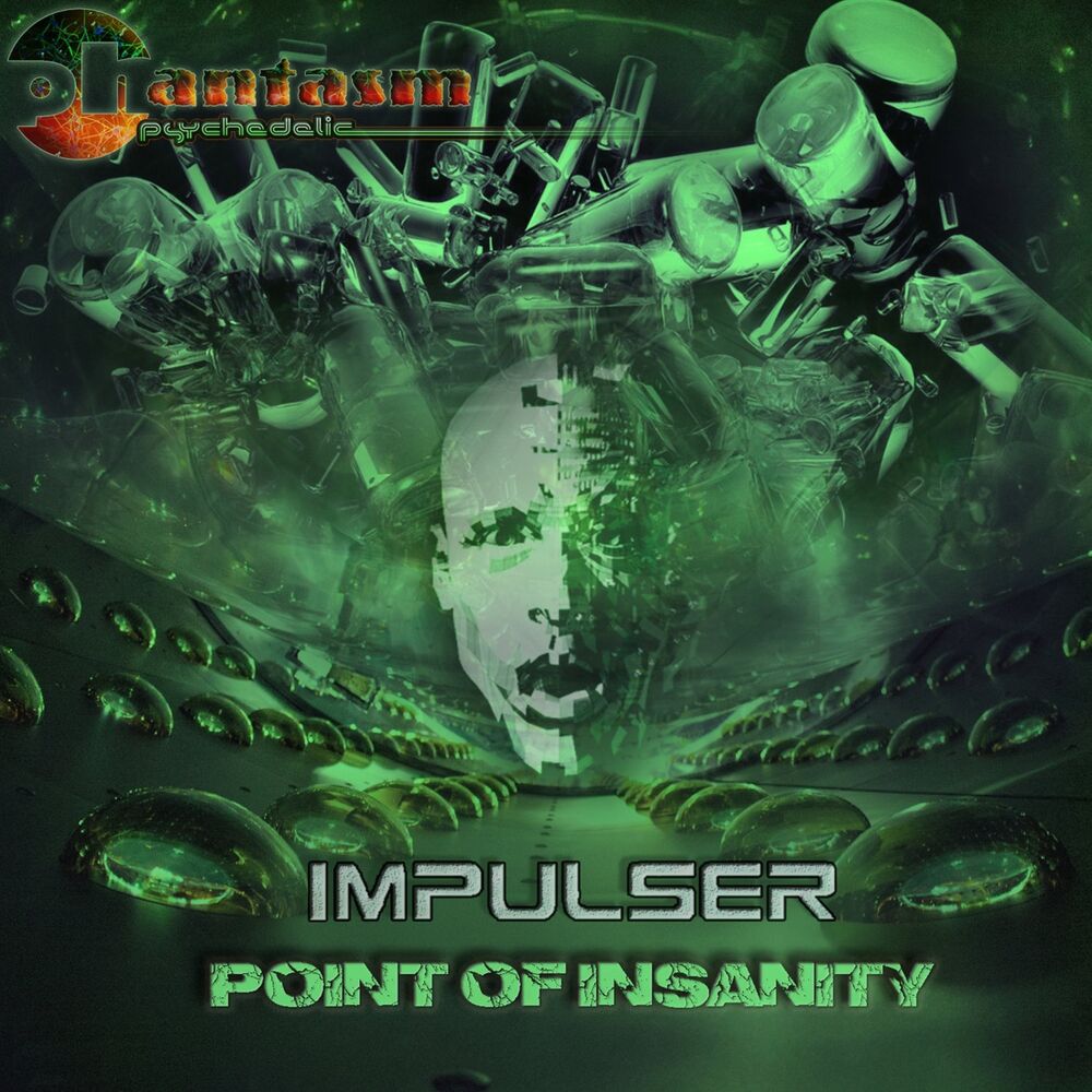 Picture of Point of Insanity