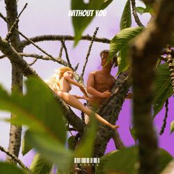 Cover of Without You