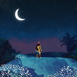 Cover of Playa Delfino