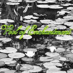 Cover of Pool of Enchantment
