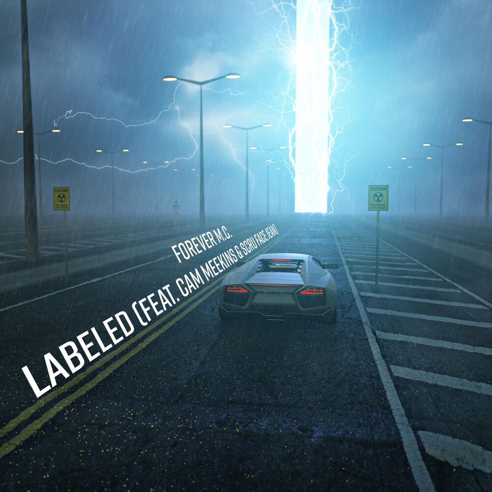 Picture of Labeled (feat. Cam Meekins & Scru Face Jean)