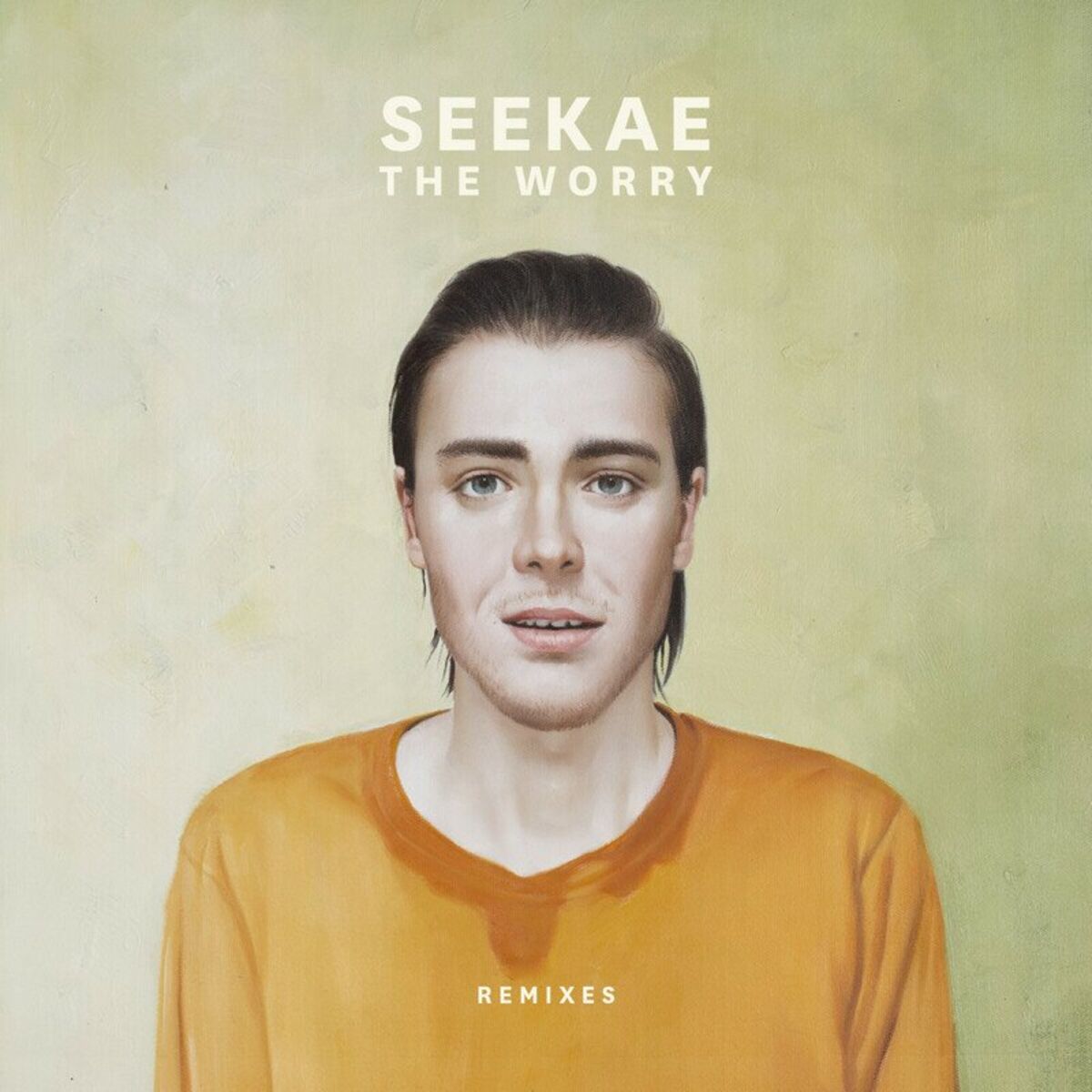 Album cover of The Worry (Henrik Schwarz Remix)