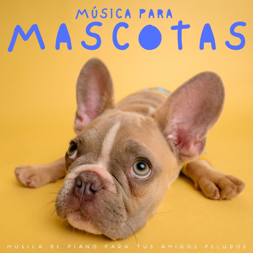 Picture of Música Para Mascotas: Música De Piano Para Tus Amigos Peludos