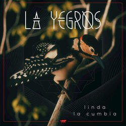 Cover of Linda la Cumbia