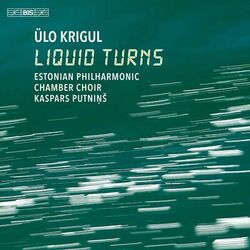 Cover of Ülo Krigul: Liquid Turns