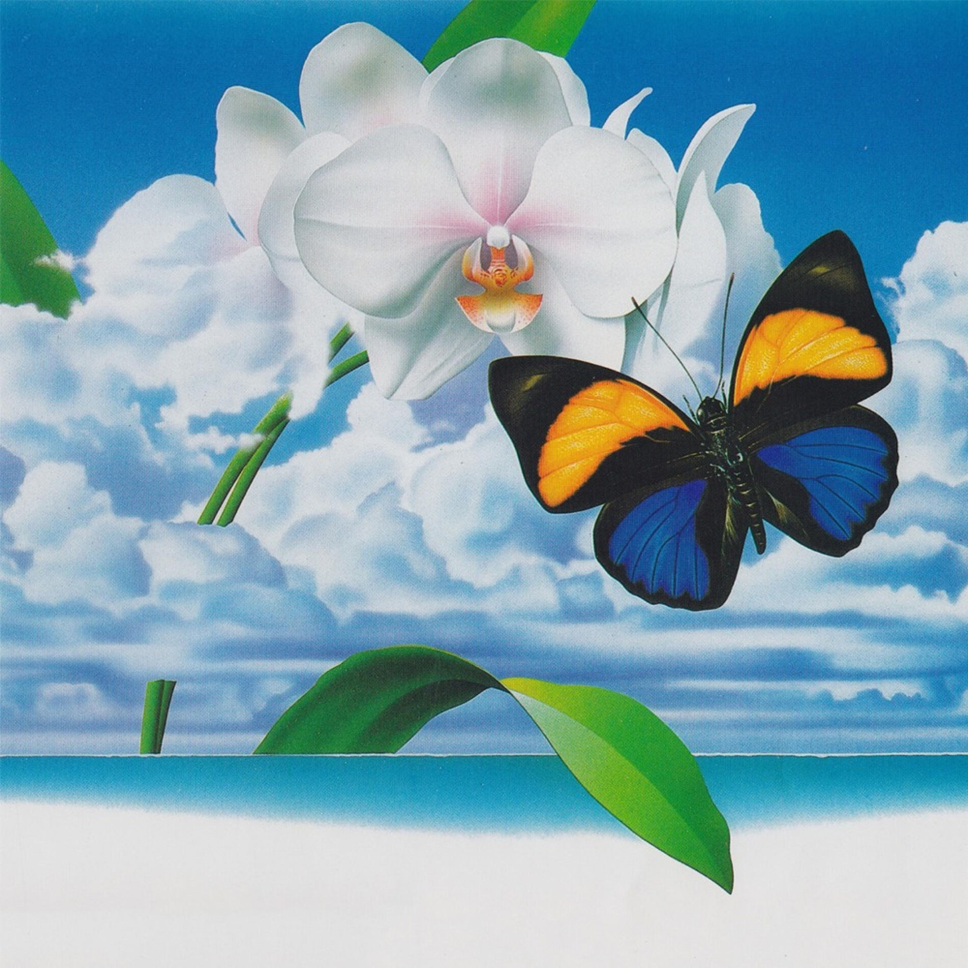 Album cover of Ocean Breeze