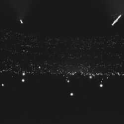 Cover of Final Step