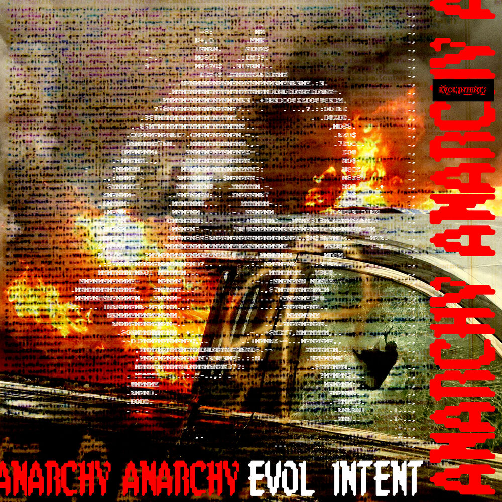 Picture of Anarchy