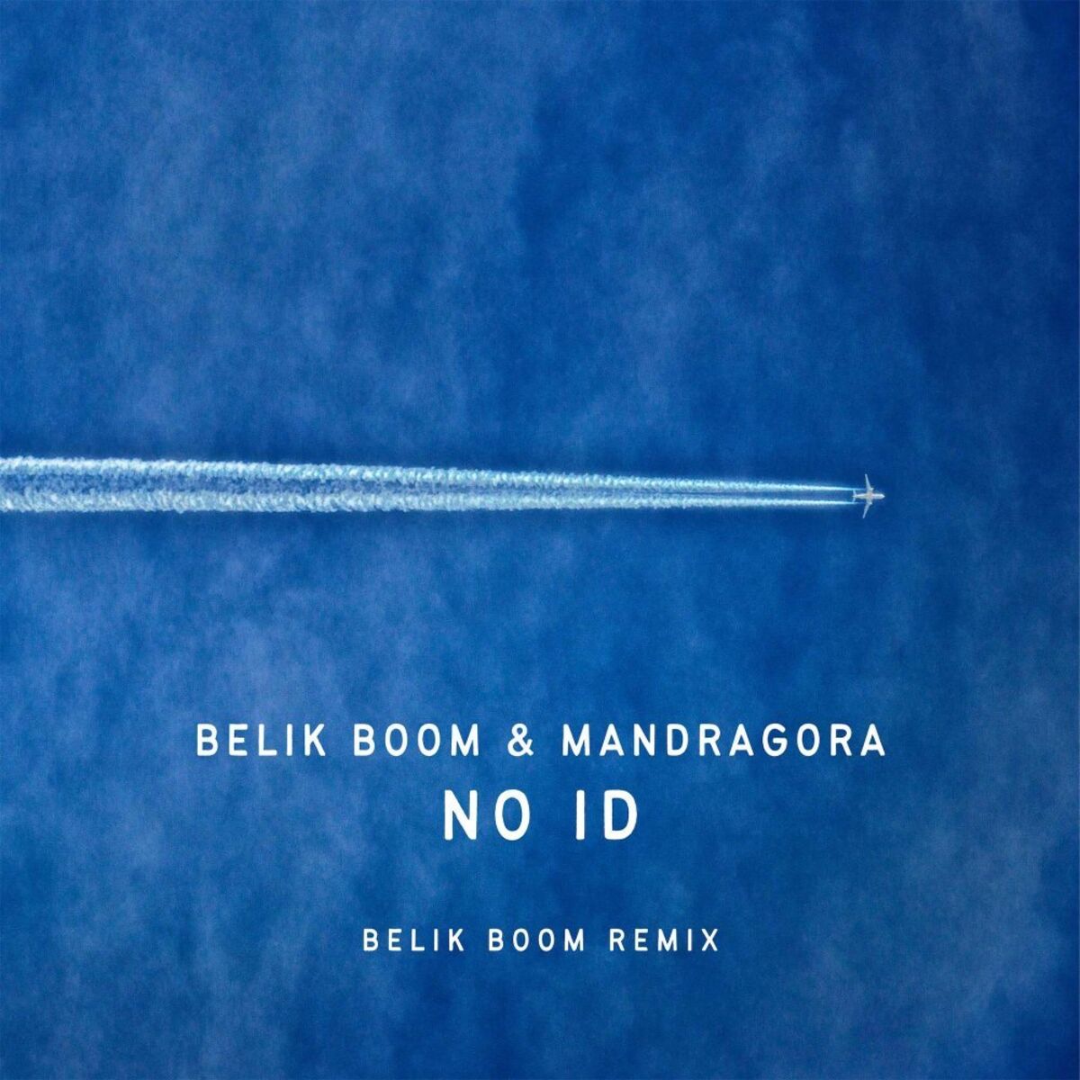 Album cover of No ID