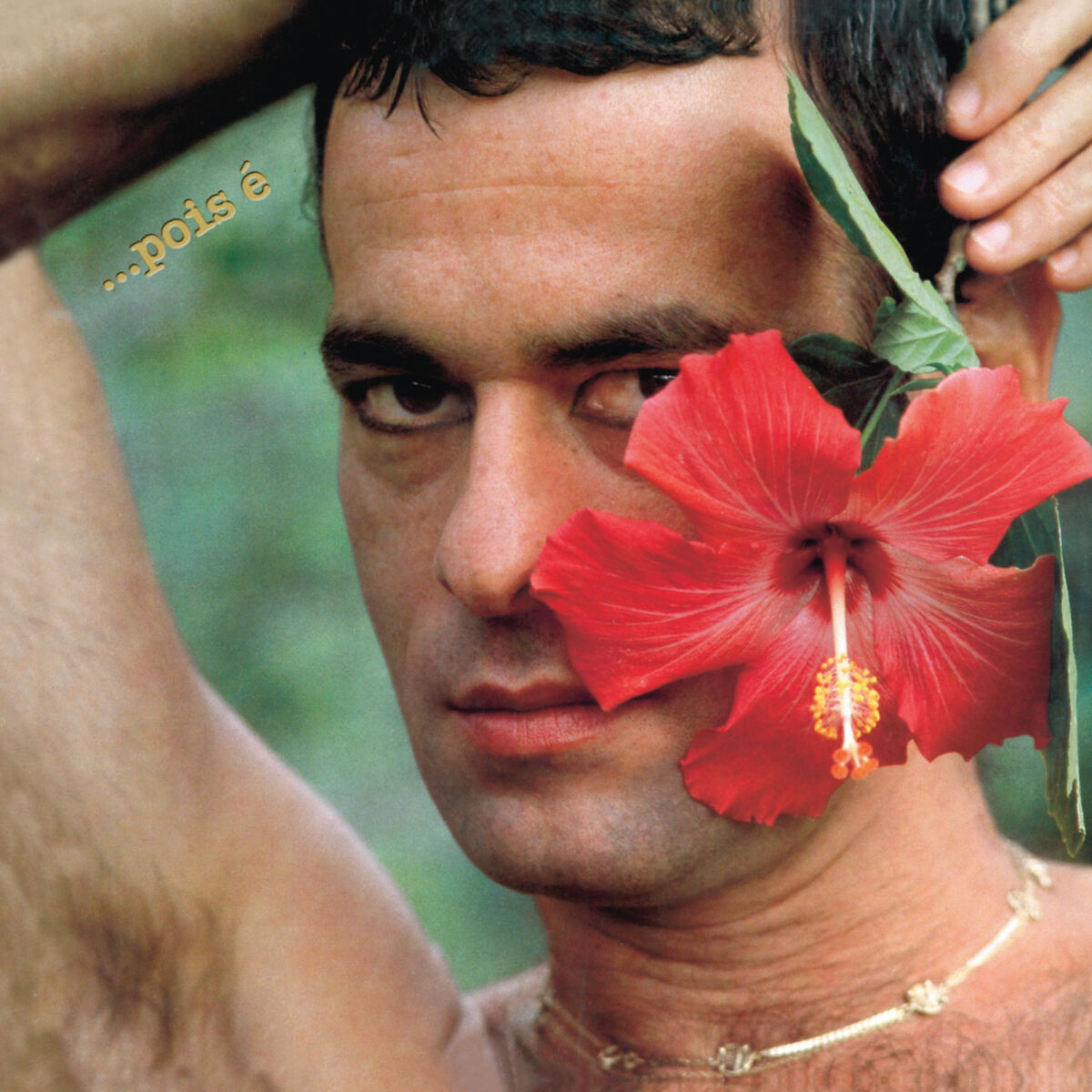 Album cover of ...Pois É