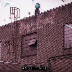 Cover of Rose Tinted