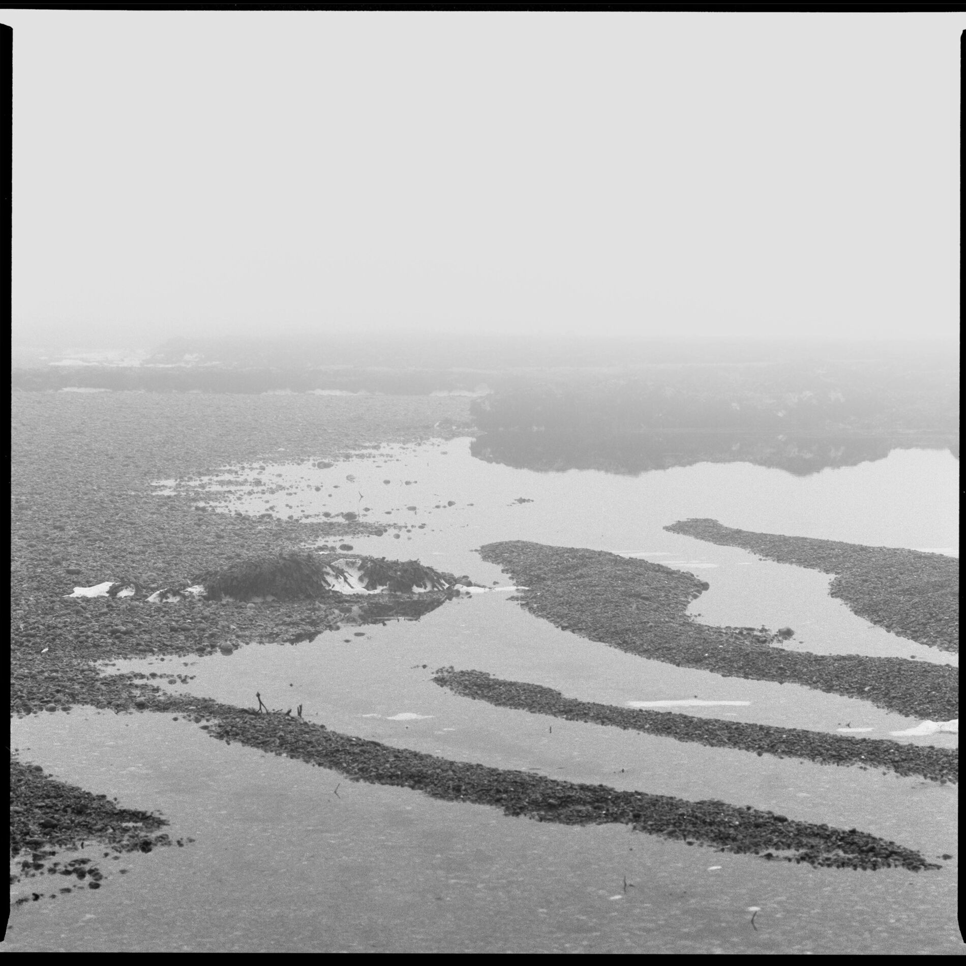 Album cover of Cold Coast