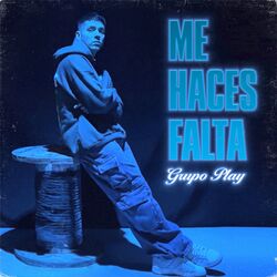Cover of Me Haces Falta