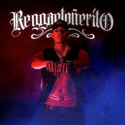 Cover of Reggaetoñerito