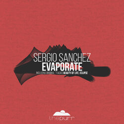 Cover of Evaporate
