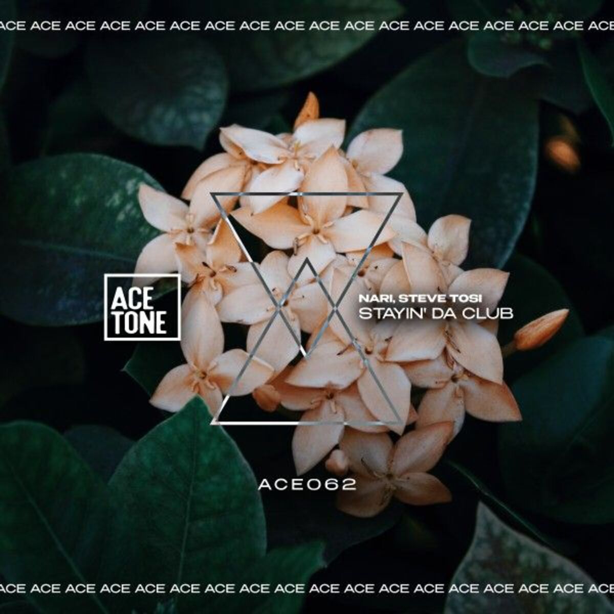 Album cover of Stayin' da Club