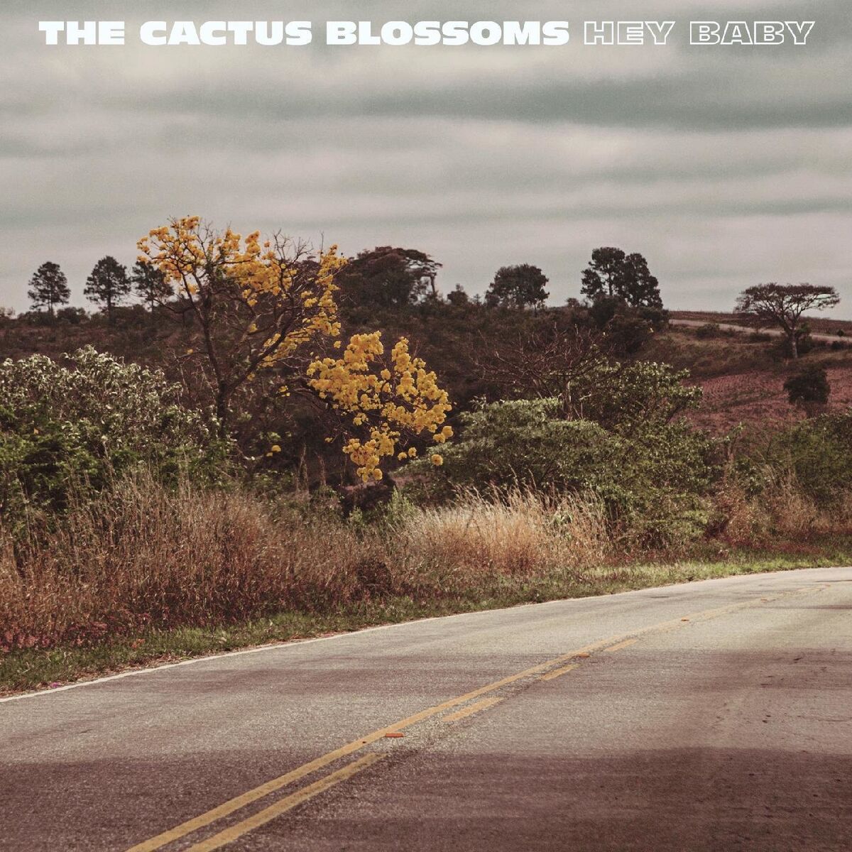 Album cover of Hey Baby