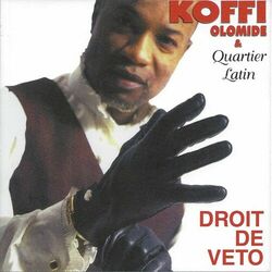 Cover of Droit de véto
