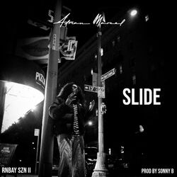 Cover of Slide
