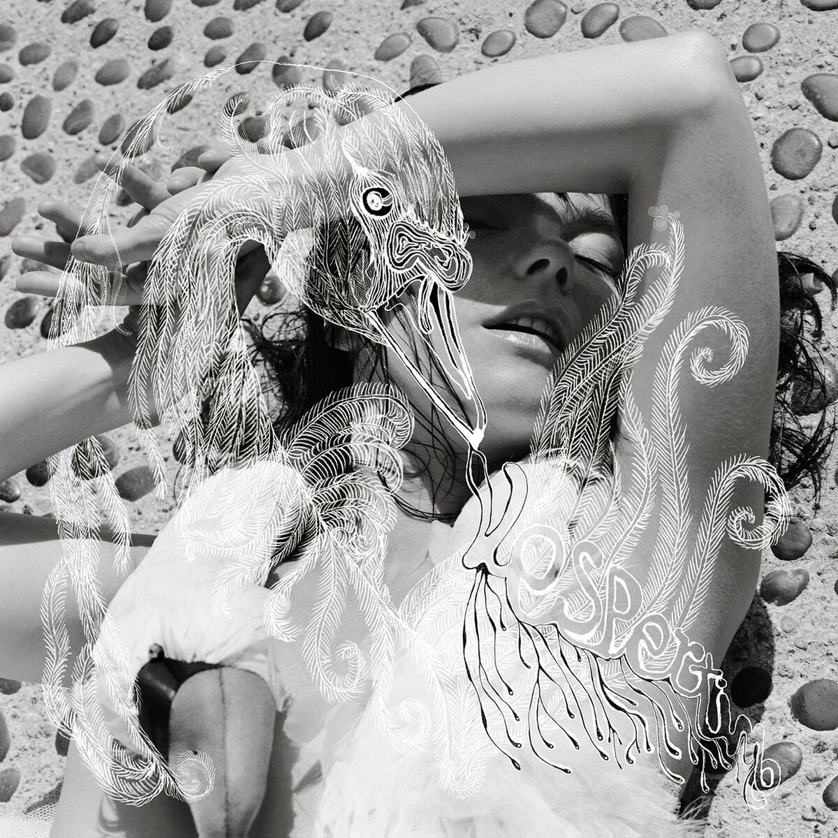 Album cover of Hidden Place