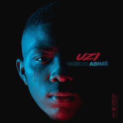 Cover of Coeur abîmé