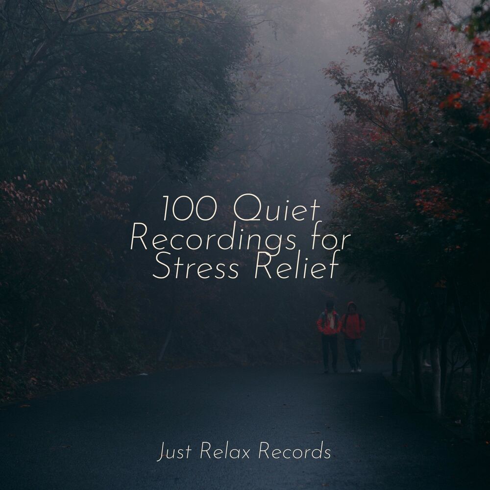 Picture of 100 Quiet Recordings for Stress Relief