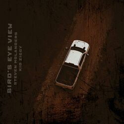 Cover of Bird's Eye View