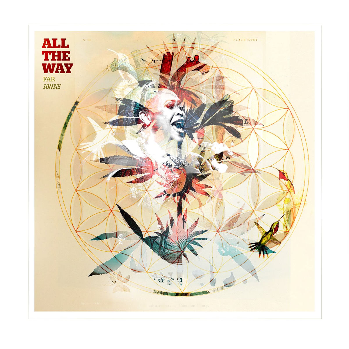 Album cover of All the Way Far Away