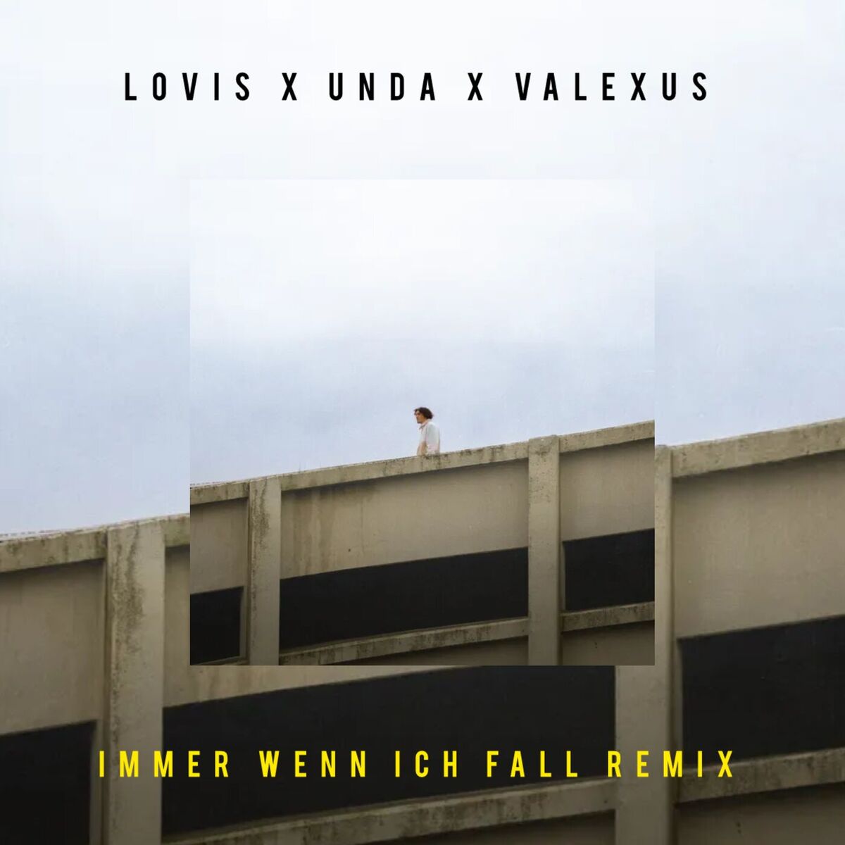 Album cover of Immer wenn ich fall
