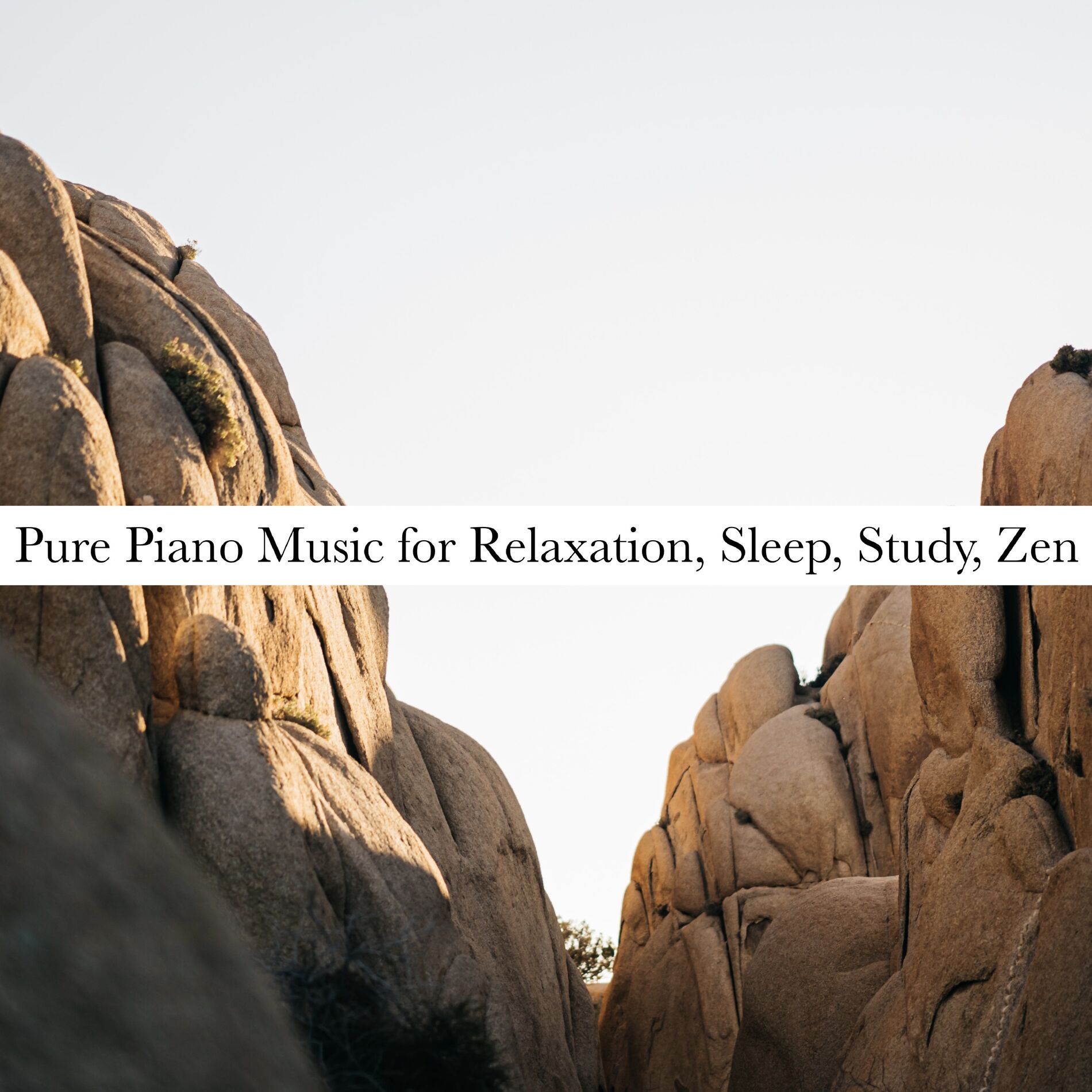 Album cover of Pure Piano Music for Relaxation, Sleep, Study, Zen