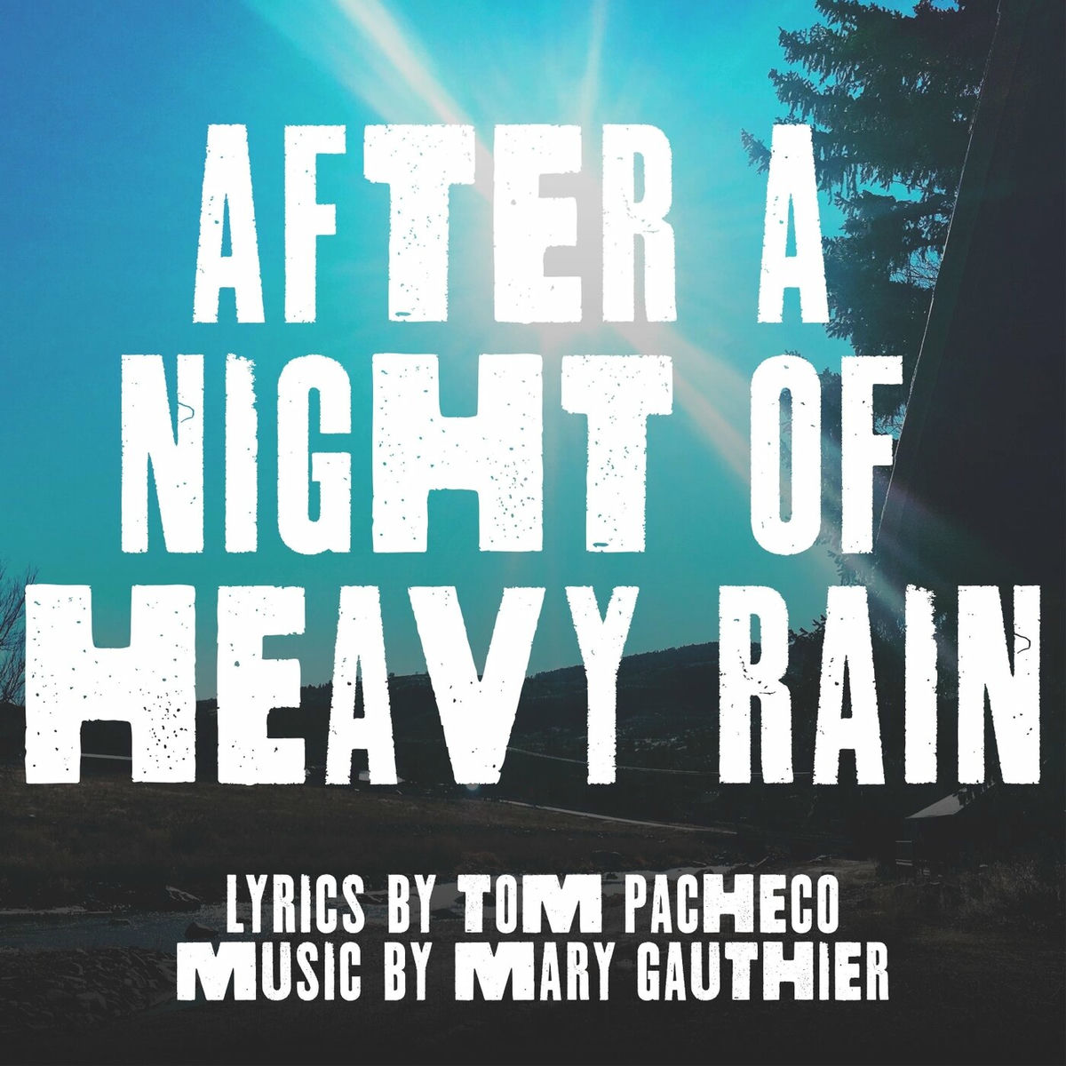 Album cover of After a Night of Heavy Rain