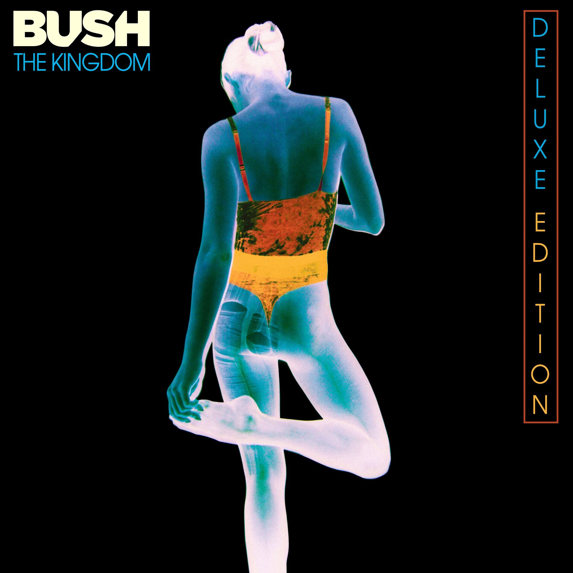 Album cover of Heroes