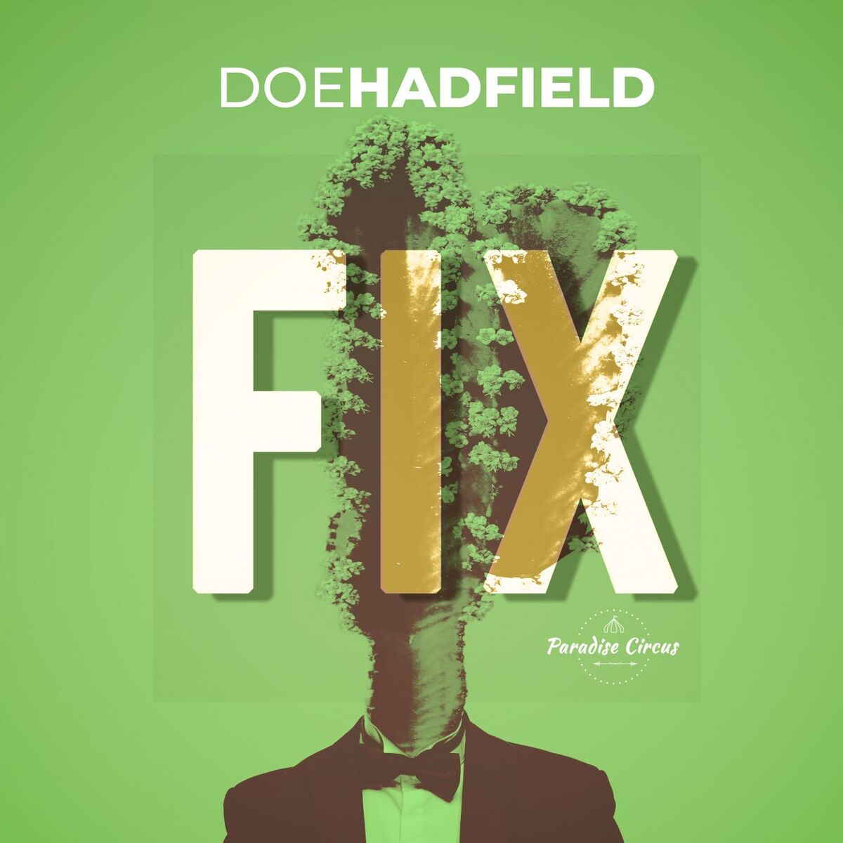 Album cover of Fix
